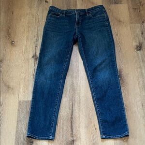 Lands End Blue Women's Jeans Size 8 slim leg